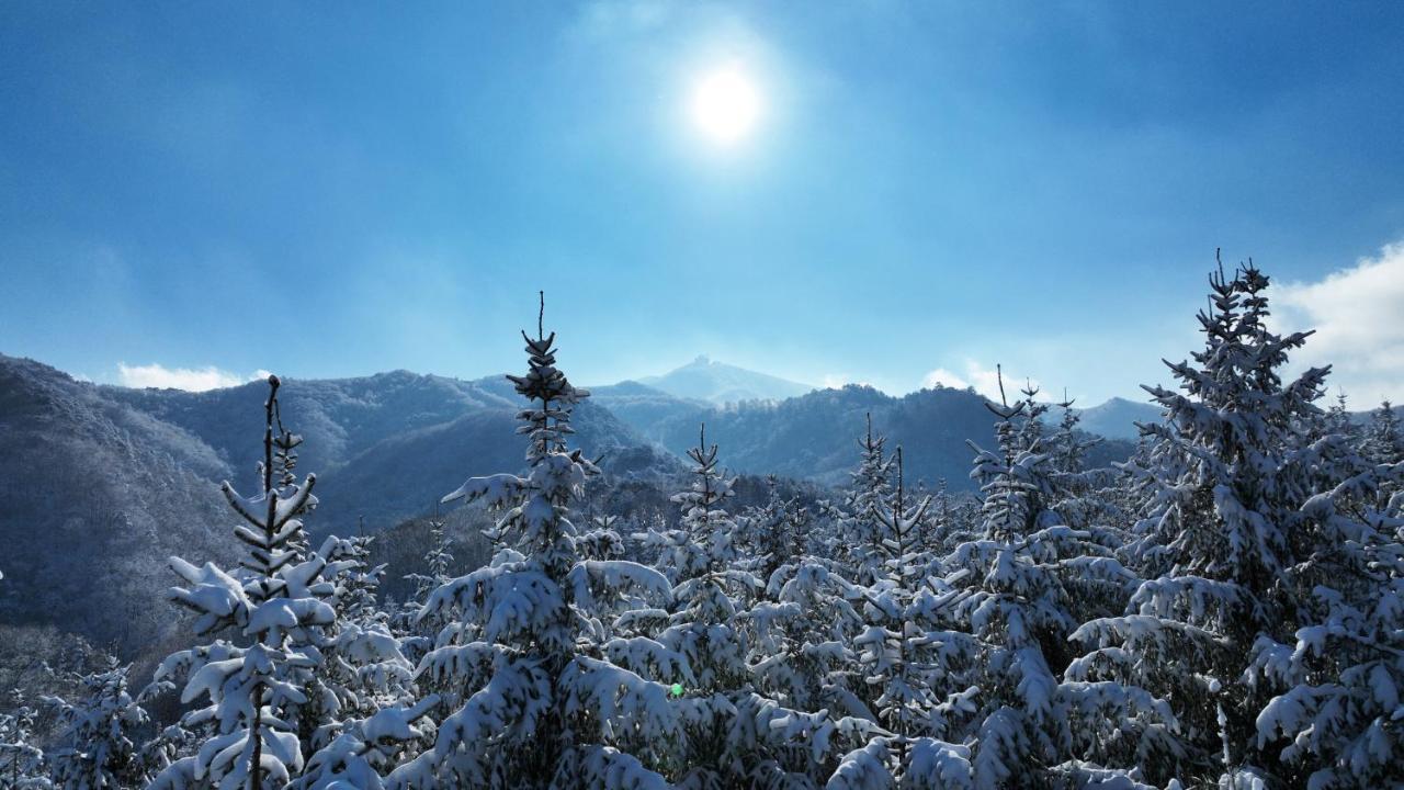 Hotel Mona Yongpyong à Pyeongchang Extérieur photo