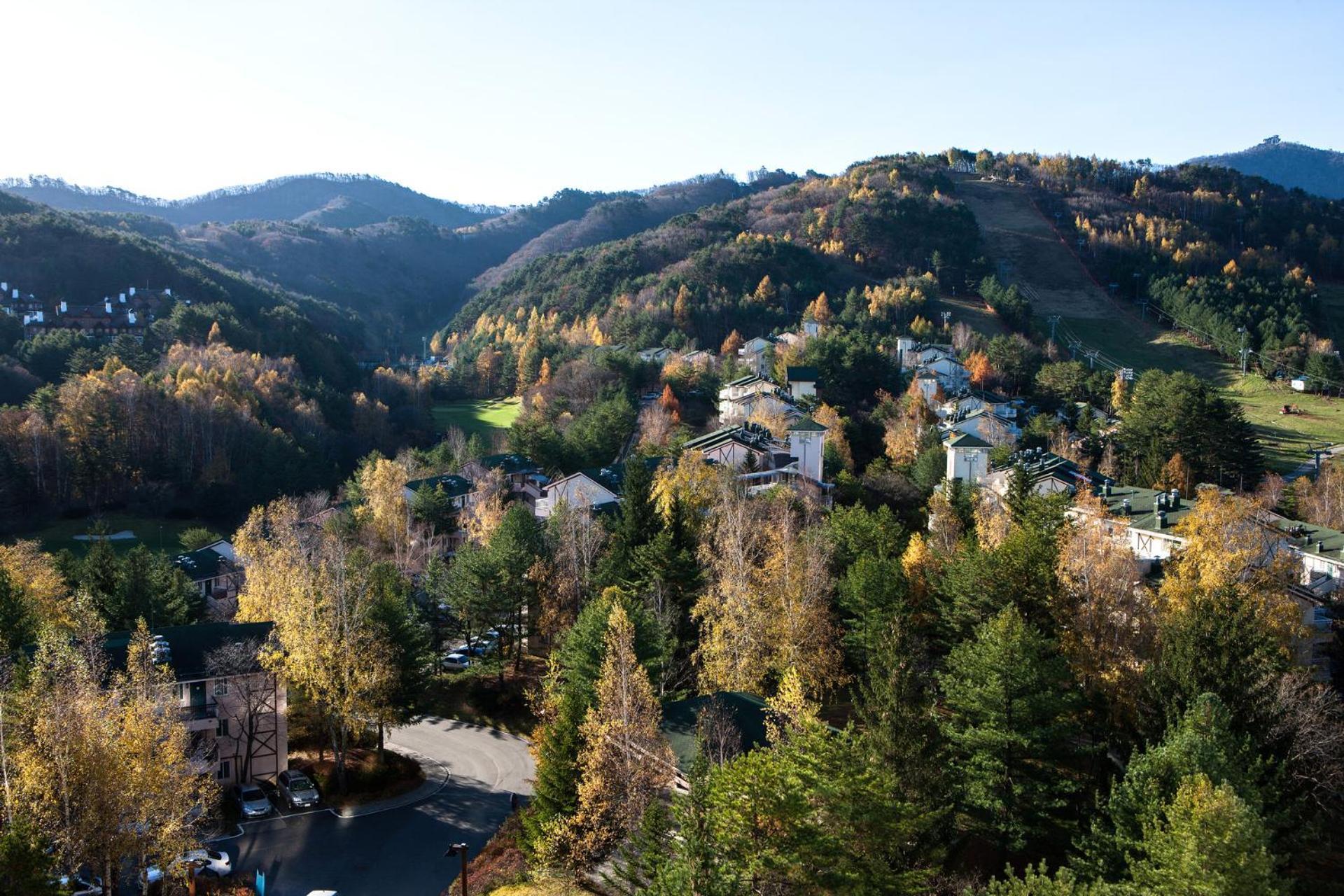 Hotel Mona Yongpyong à Pyeongchang Extérieur photo