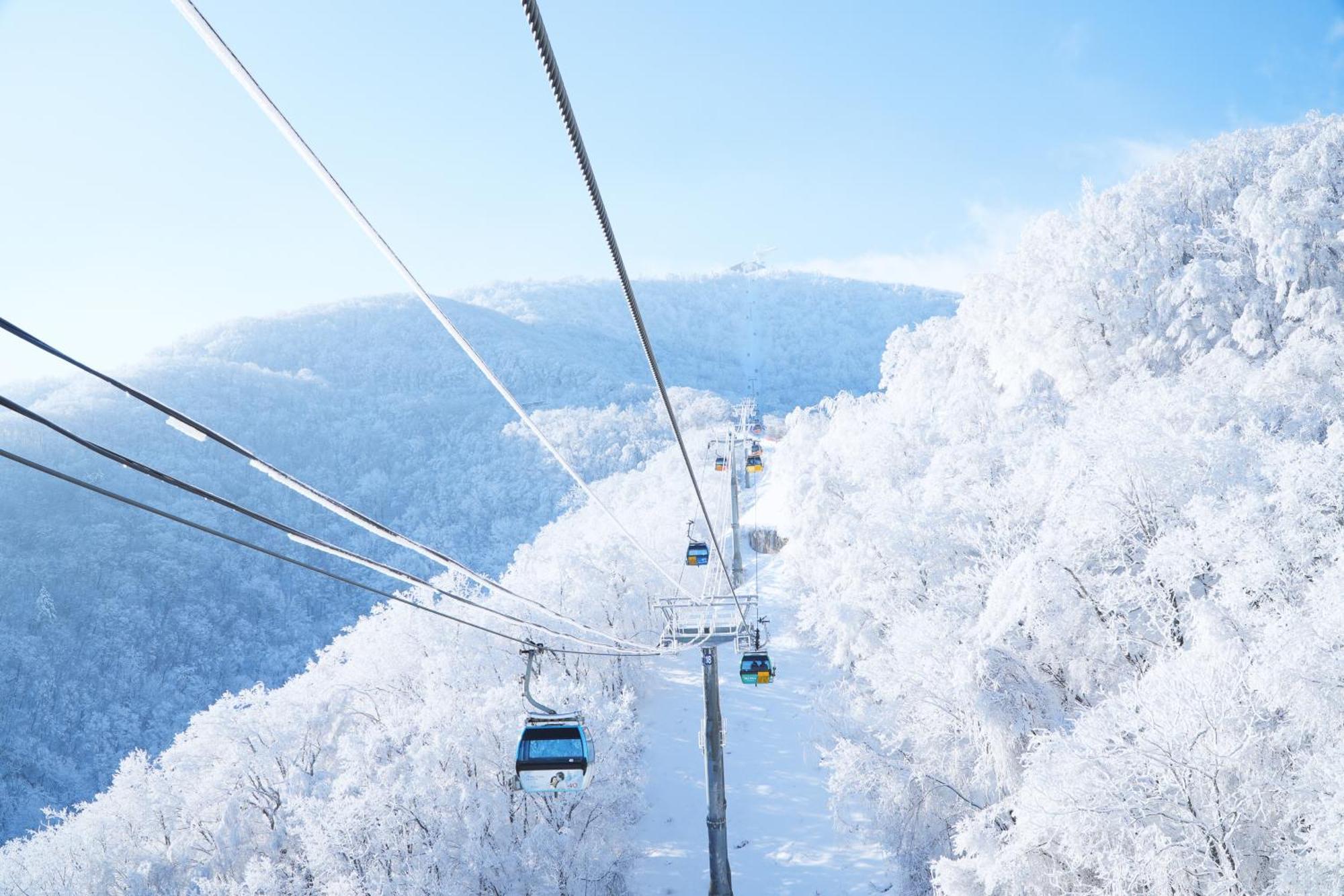 Hotel Mona Yongpyong à Pyeongchang Extérieur photo