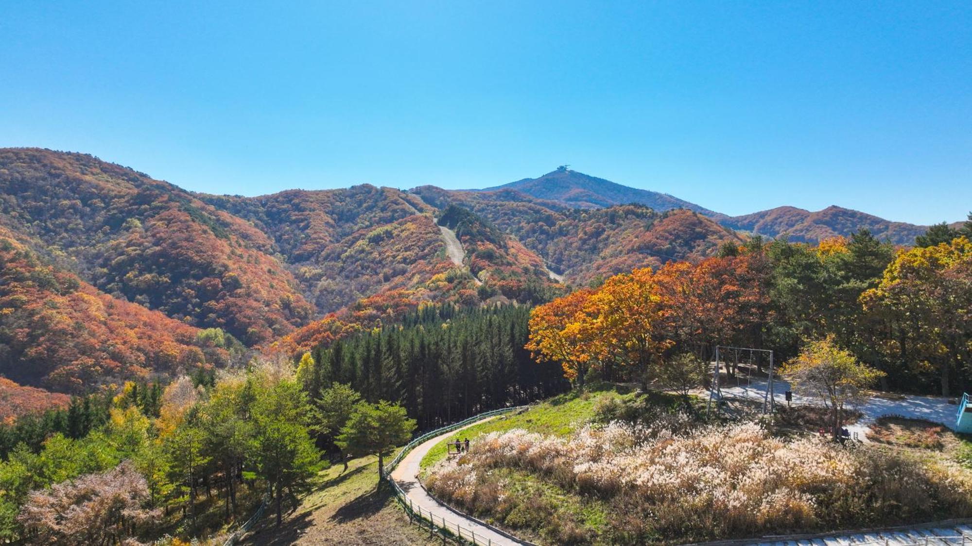 Hotel Mona Yongpyong à Pyeongchang Extérieur photo